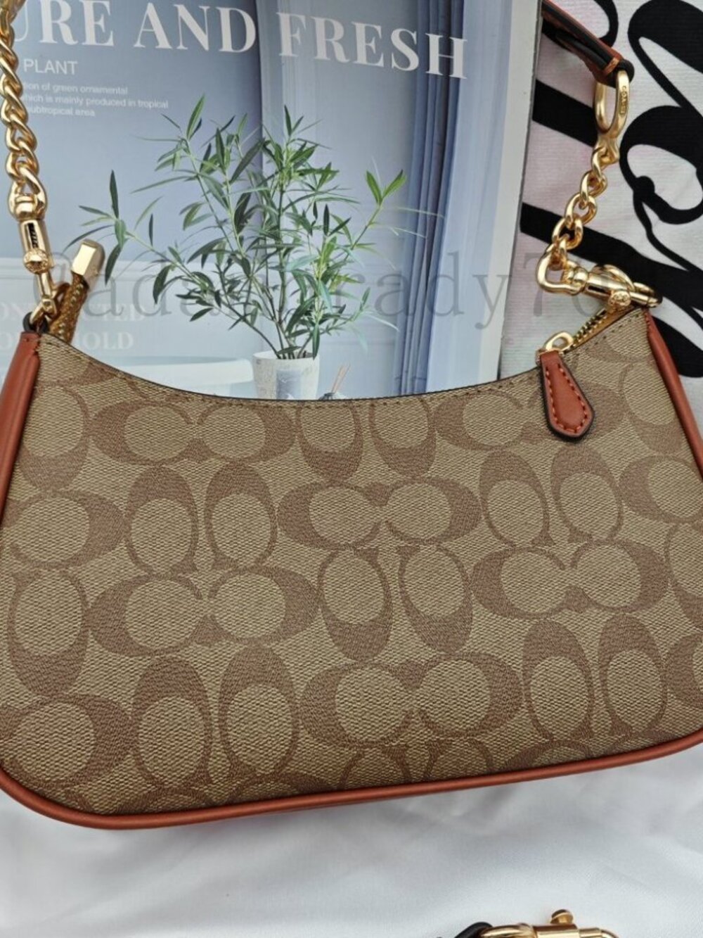 🥁🥁🥁Coach Teri shoulder bag brown - Picture 4 of 9